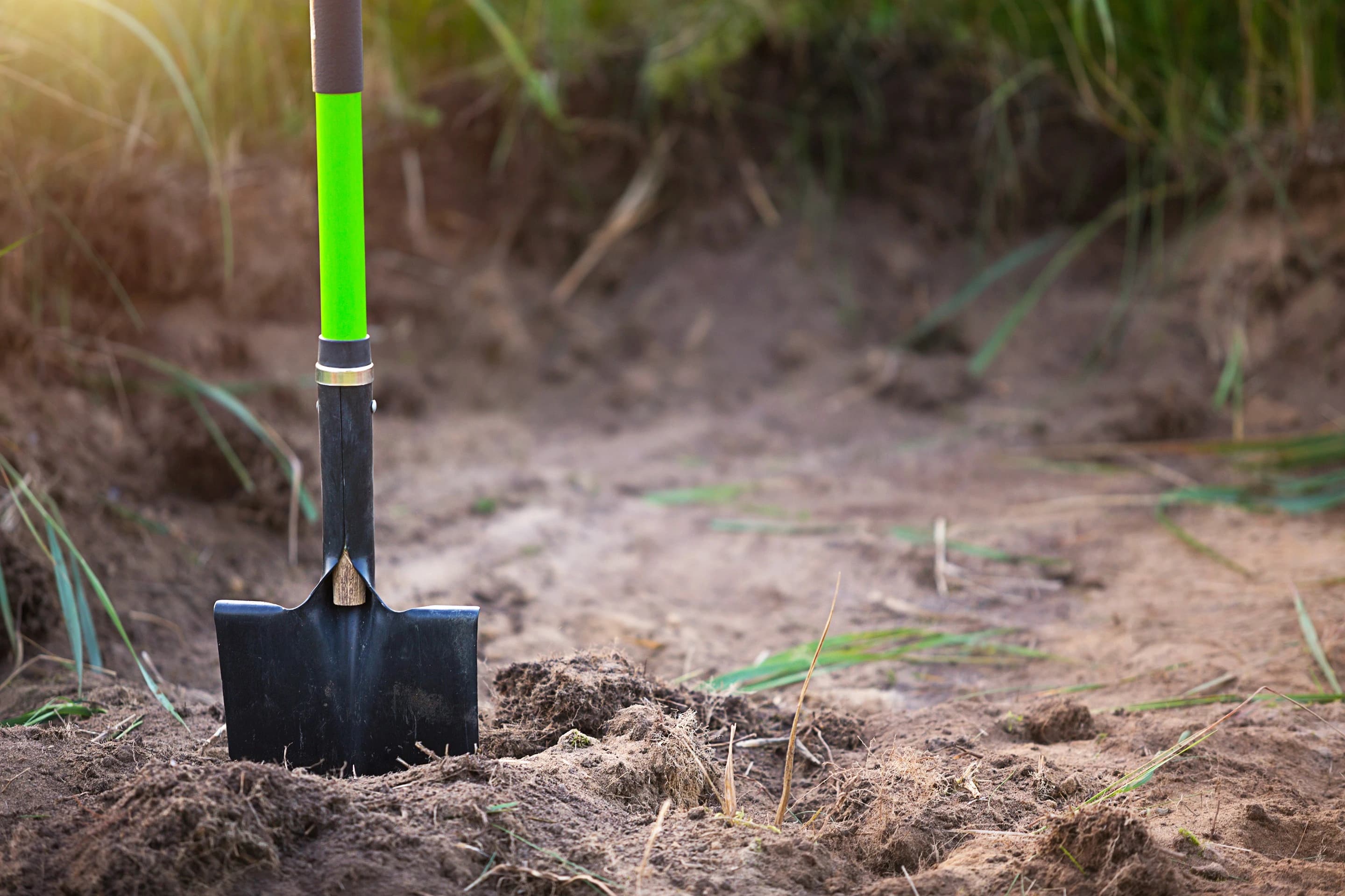 Préparation du terrain pour un jardin méditerranéen