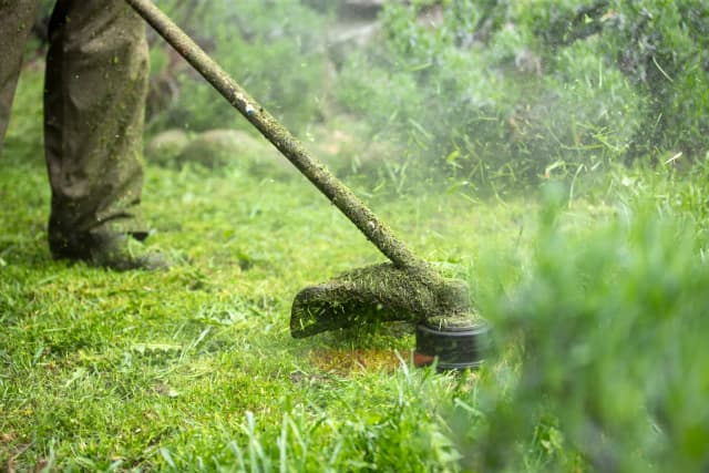 Services de paysagisme