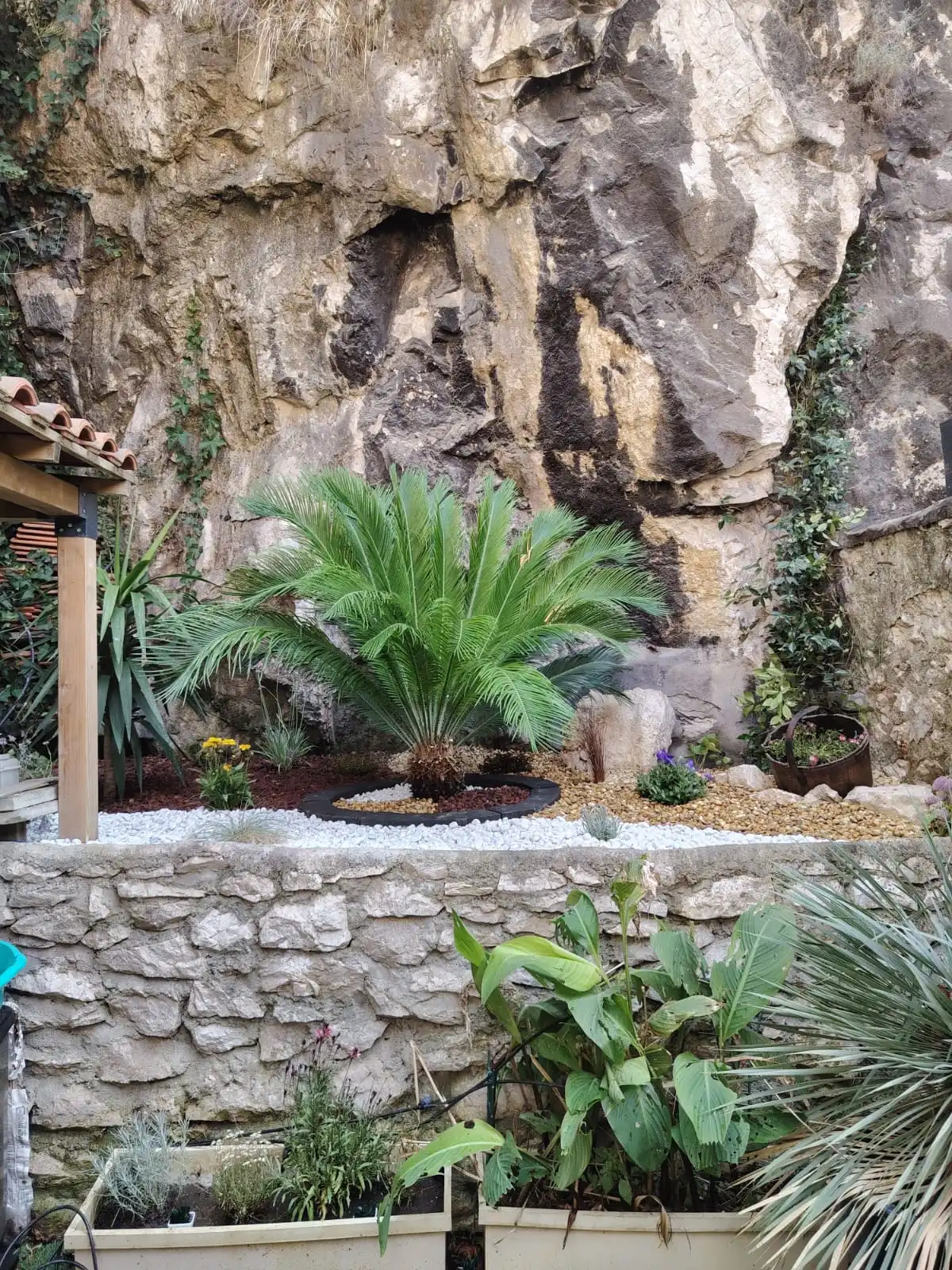 Jardin méditerranéen rocheux créé par Azurément Vert à Marseille